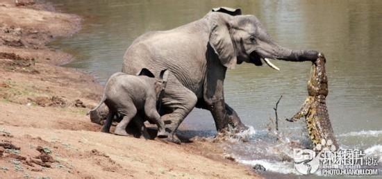 如何学会自我调节？