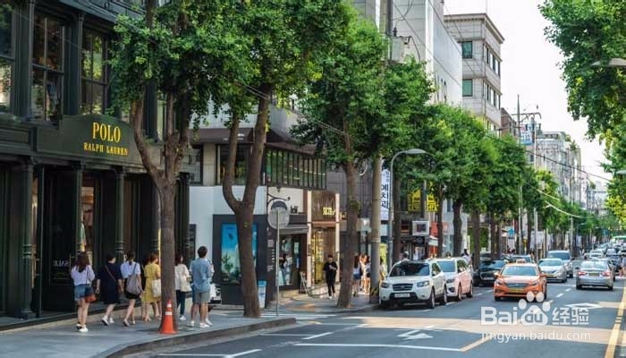 首尔购物攻略：从明洞到林荫道教你轻松玩转首尔