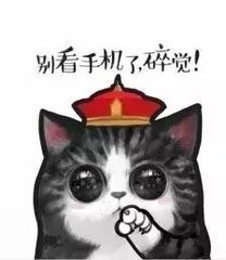 如何保养四大排毒器官,器官积累的毒素来源