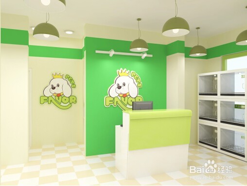 想开宠物店但是没有经验怎么办