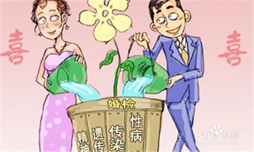 婚检内容包括哪些方面,应该注意什么