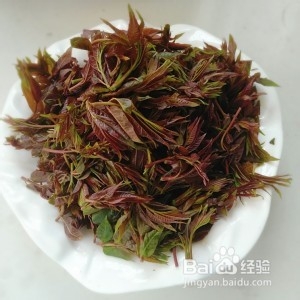 食补佳品香椿芽炒鸡蛋的做法
