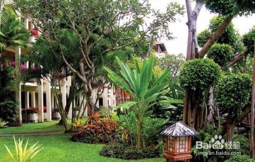 森肯园林庭院景观植物搭配方法 百度经验 森肯园林庭院景观植物搭配方法 百度经验
