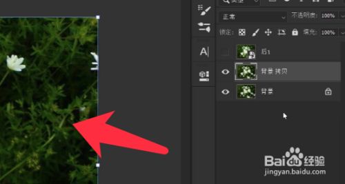 PS如何调出梦幻柔焦效果