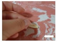 怎么熬百合绿豆汤