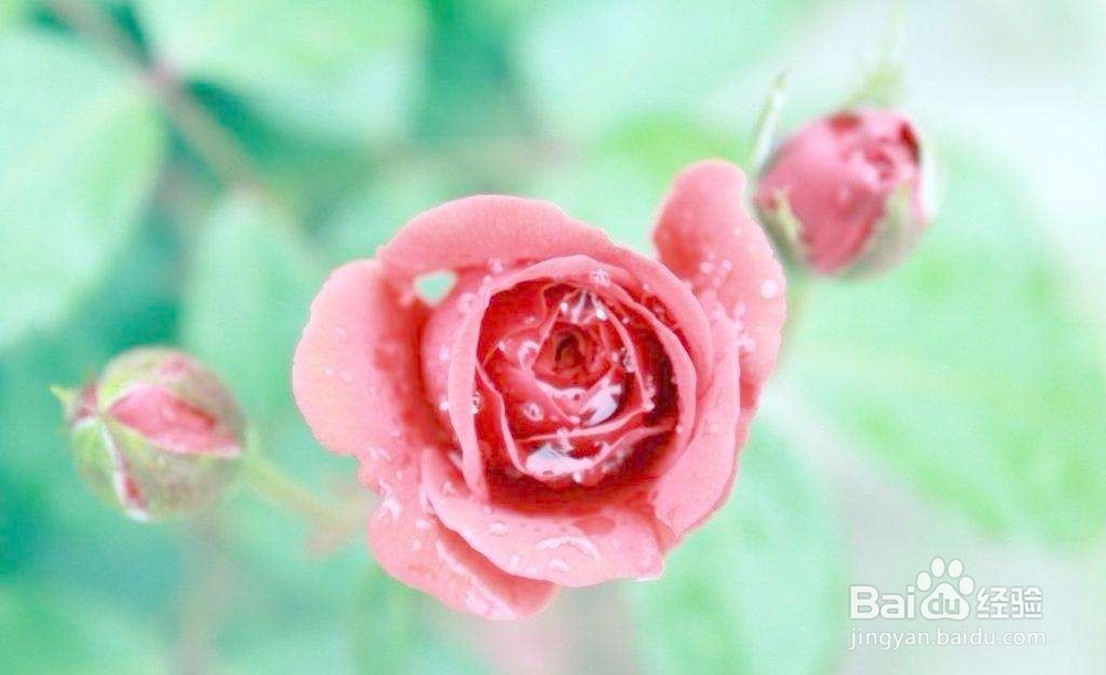 不善于交际怎么办?