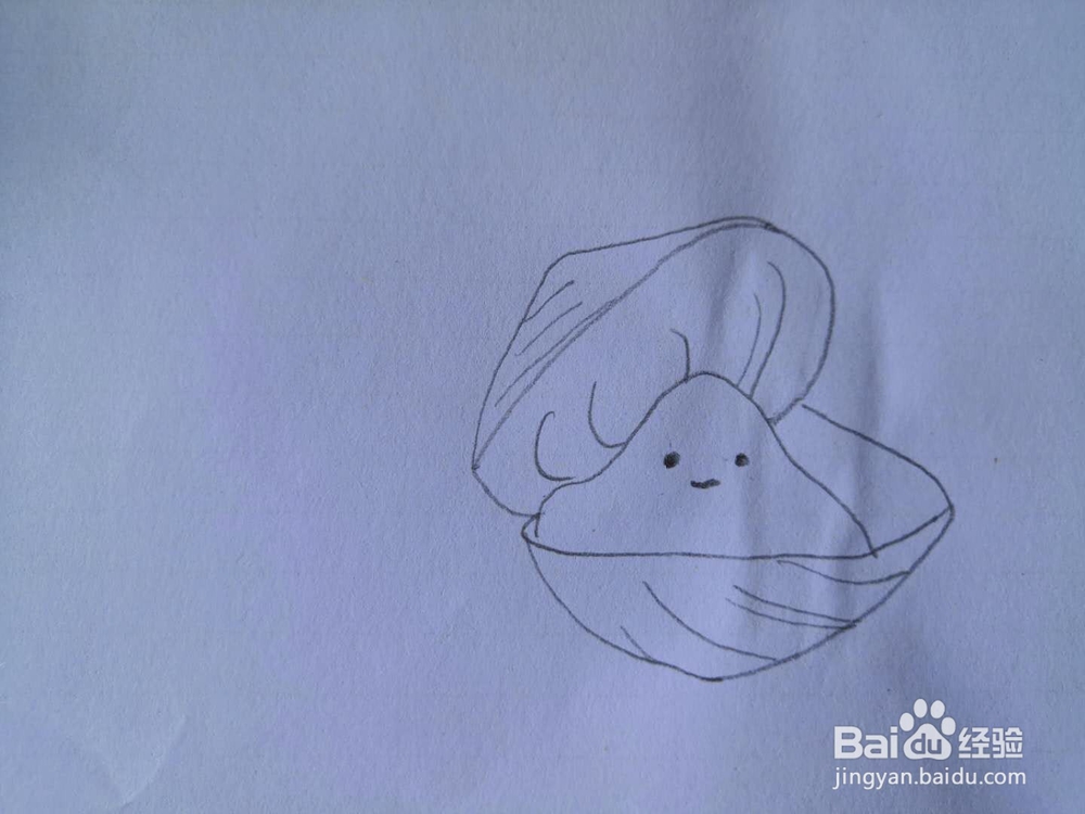 如何画蛤蜊简笔画？