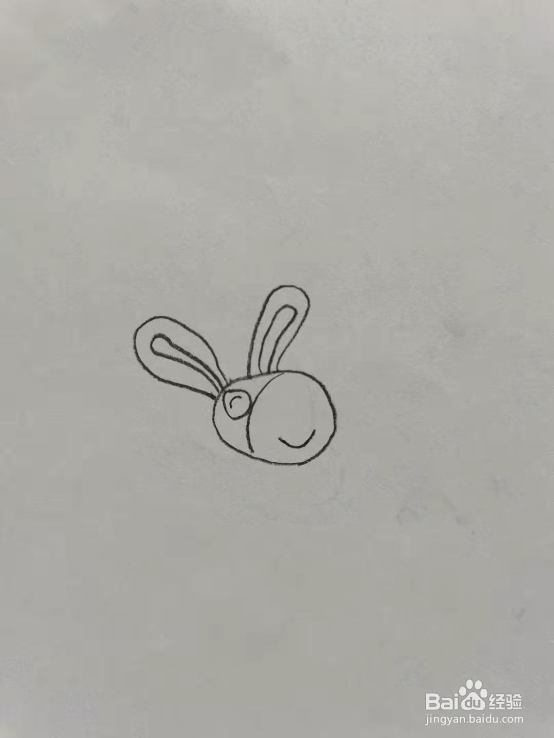 可爱的毛驴怎么画