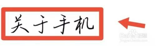 vivo手机开发者模式如何进入