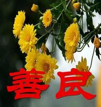 怎样心存善良