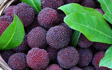 自制美味杨梅汤