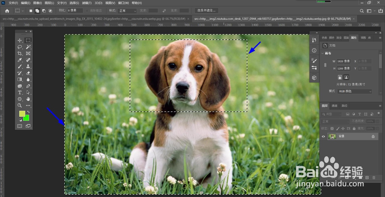 PS怎么设置选区反选？