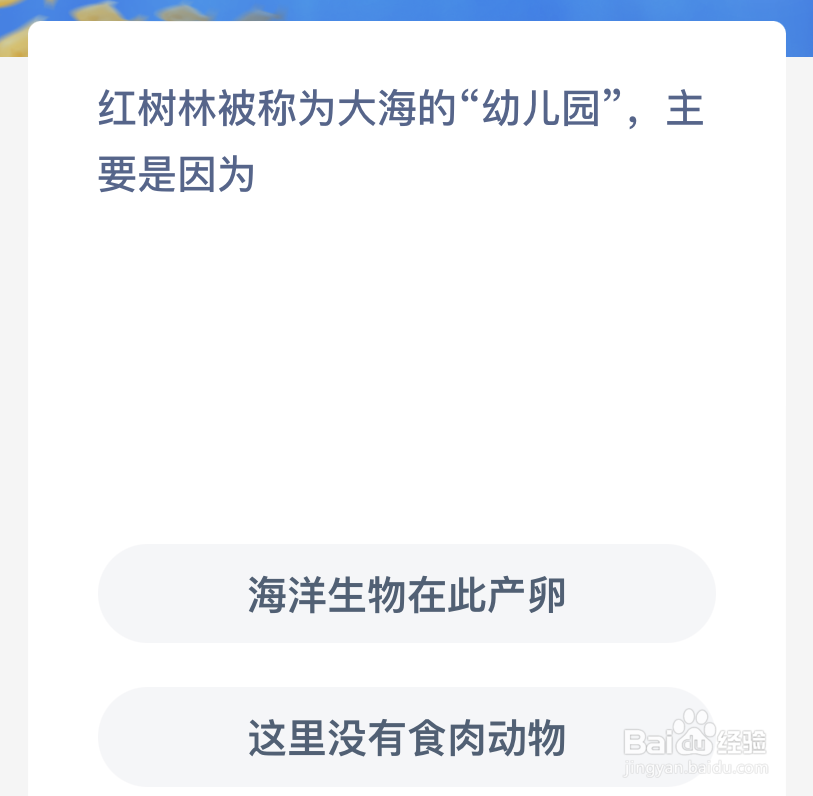 红树林被称为大海的幼儿园主要是因为