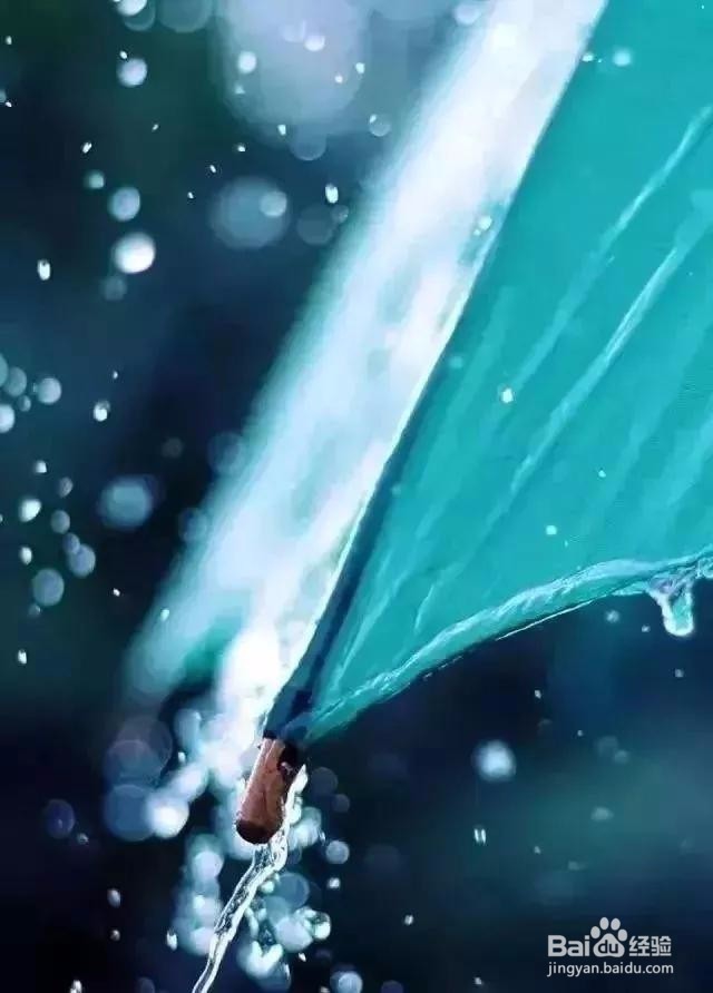 七个摄影小技巧,让你在雨天也能拍出好照片