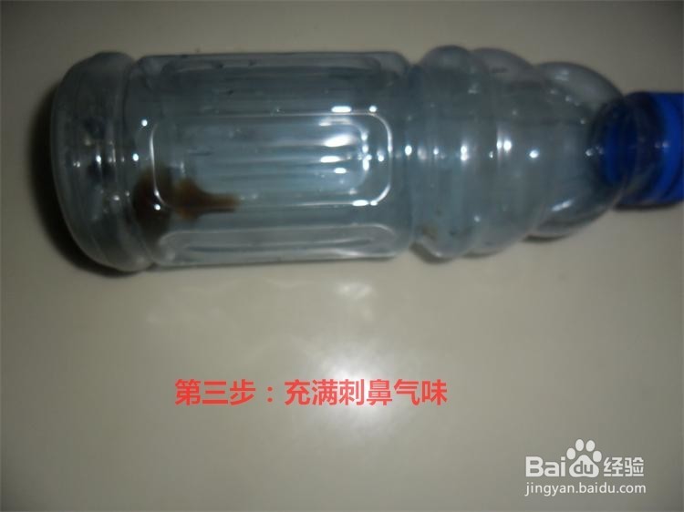 硅藻纯除(吸附)油漆甲醛试验