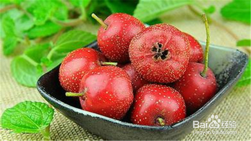 如何才能更快更好地断奶？