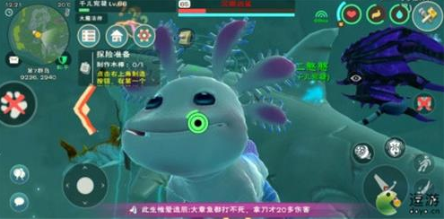 创造与魔法海底世界宠物饲料有哪些