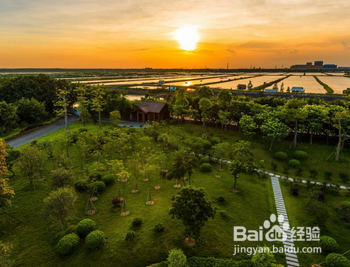 广州大观湿地公园在哪里？