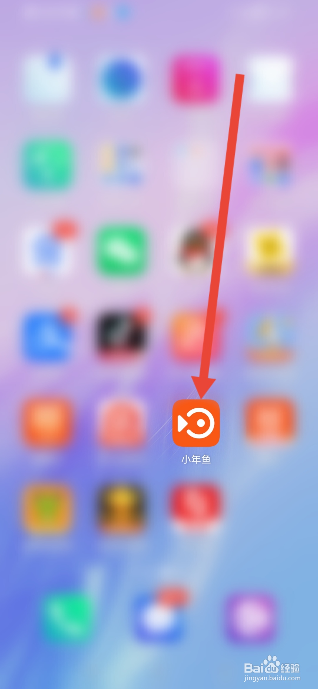 小年鱼怎么提交意见反馈
