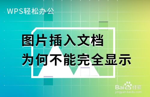 wps图片插入文档为何不能完全显示?