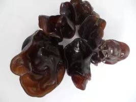 补肾妙招一吃就行