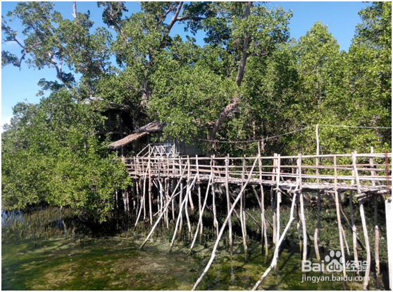 杜马盖地三日游——景点攻略
