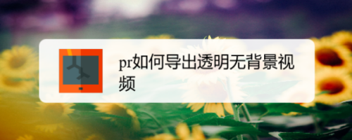 pr如何导出透明无背景视频