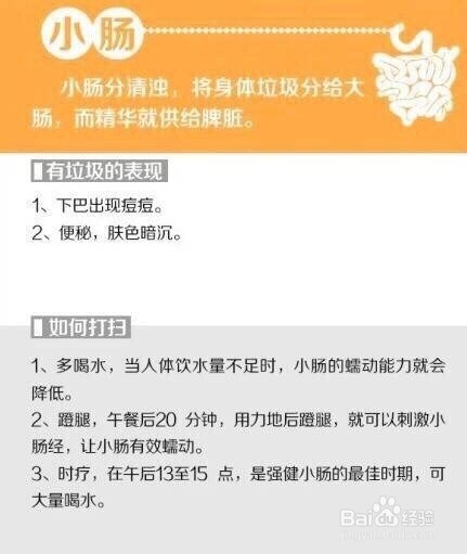 怎样使自己的五脏六腑更健康