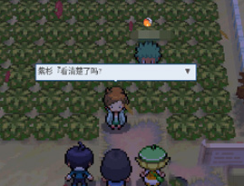 pokemmo合众二周目攻略？
