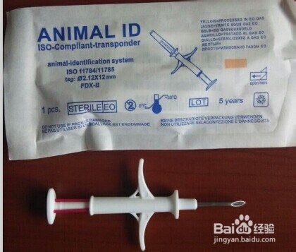 北京怎么带宠物去澳洲