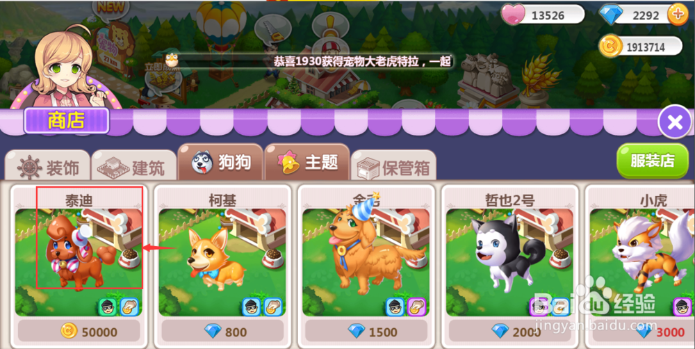 怎样在QQ空间农场中购买泰迪犬