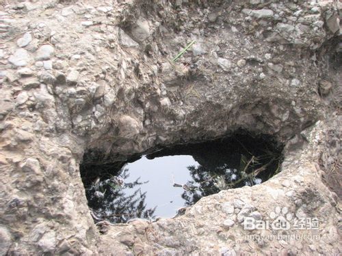 南京绣球公园游览手册