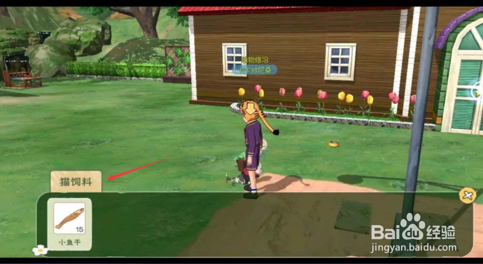 小森生活怎么养猫