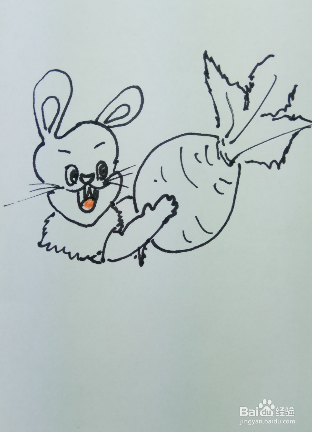 怎样画简笔画“小白兔爱萝卜”?