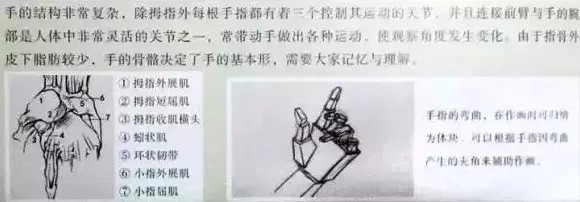 人物速写应该注意些什么呢