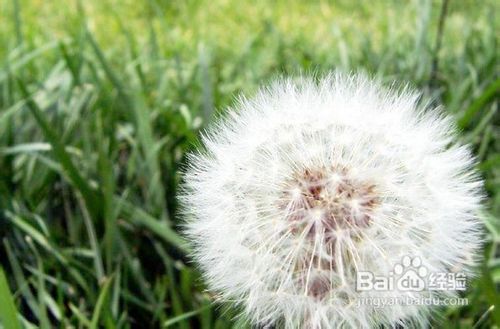 怎样排解郁闷情绪