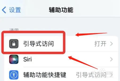 苹果引导式访问如何开启面容ID功能
