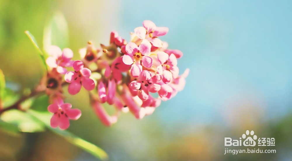 有人把我隐私上传怎么办