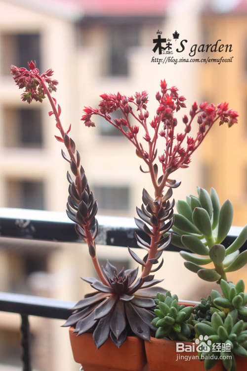 天冷啦!冬季养护贴士