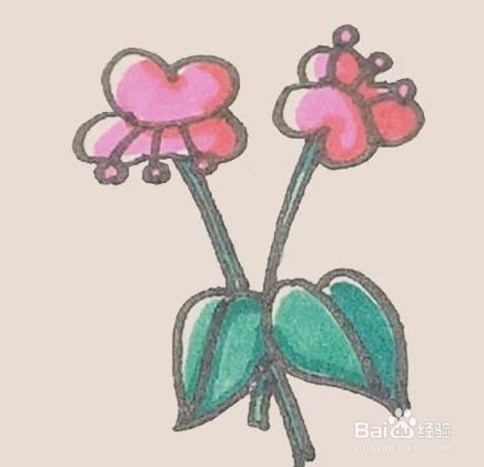 怎么画蝴蝶兰开花的样子