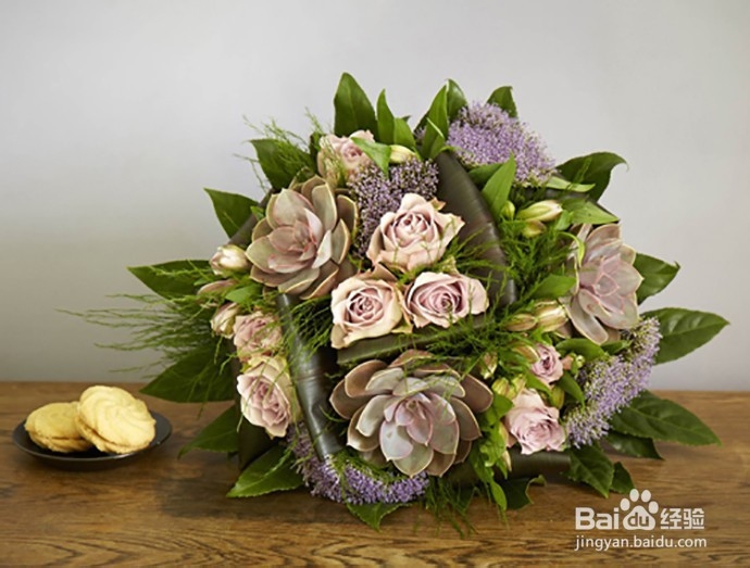 早春花作，如何搭配更出彩？