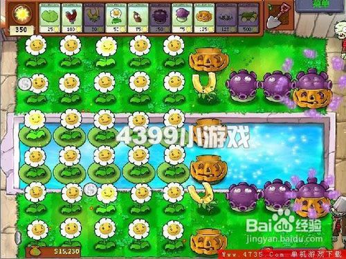《植物大战僵尸》Last Stand新手刷钱攻略指南