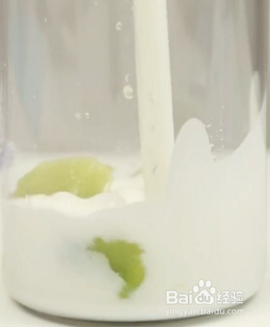 如何自制营养奇异果奶昔？