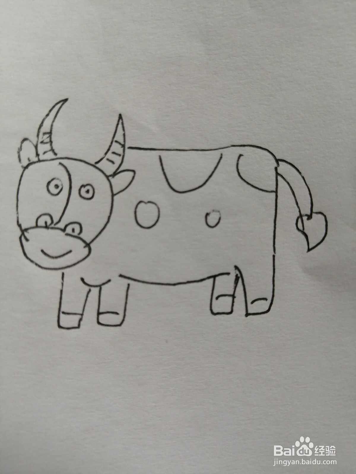 <b>可爱的小奶牛怎么画</b>