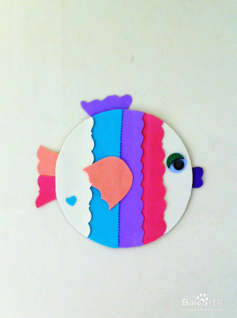 光盘制作 可爱的接吻鱼