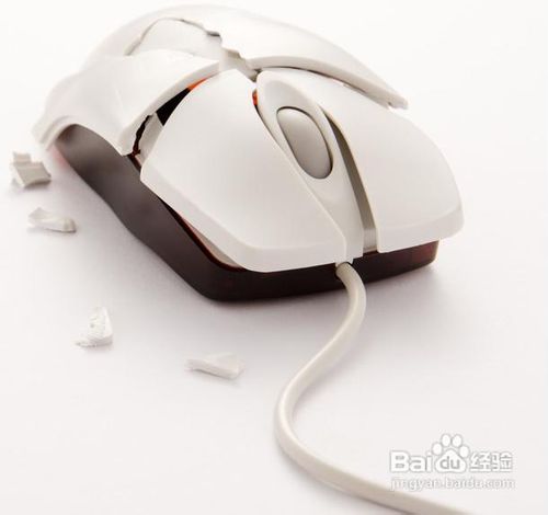 鼠标选购技巧