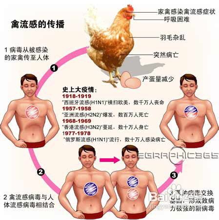 h7n9禽流感防治常识