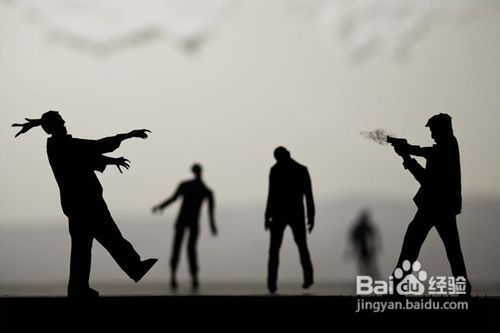 【摄影】纸制“家酿”剪影大片