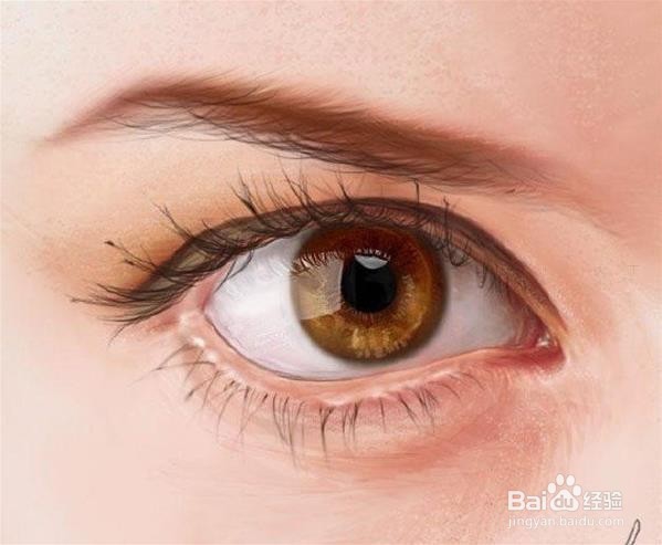 PS插画写实眼睛画法详细步骤图解教程