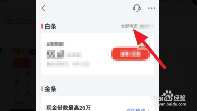 京东金融如何查看白条的退款记录